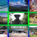 벽계관광지(내) 이미지