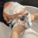 성지빌딩 | 청주탈모성지 정수리 관리 변화 후기