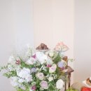 연보라(주) 이미지