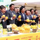 성주 - 논산시 | 성주