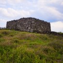 협자연대 이미지