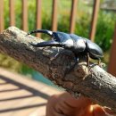 우람농장 이미지