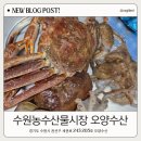 농수산물시장 | 수원 농수산물시장 대게 오양수산 수원대게 후기