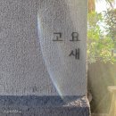 고요새 | 제주 삼양 카페 고요새 후기 2탄/ 삼양검은모래해변 태닝 후기..