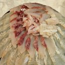 물꼬기1호 이미지