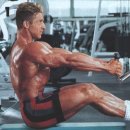 Seated Cable Row 이미지