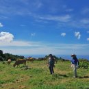 탐라목장 이미지