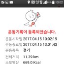 제6회 부산낙동강유채꽃축제탐방 이미지