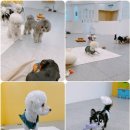 곰앤앙 이미지