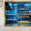 빵나무 이야기 이미지