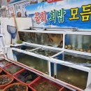 월용상회