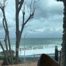 화진해수욕장 이미지