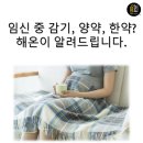 임산부 감기약 먹어야할까요? 임산부감기약, 한약, 금기증 by 해온
