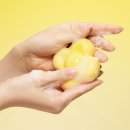 꽃이 좋아 | 동구밭 퍼퓸바 유채 선물세트, 향긋한 유채꽃이 가득! 솔직 후기