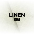 [비레디 무드 스타일링 퍼퓸 레이지 화이트] 3분 정리, 간단 시향기