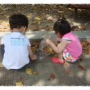 파란하늘나무어린이집 이미지