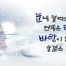수원-1177 이미지