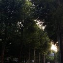 결혼식 그리고 음악회 이미지