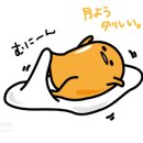 세종숙박 네이버블로그
