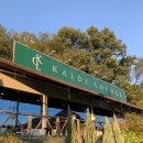 카디라운지 이미지