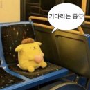 소프트스냅 | W04. 아이폰스냅 소프트보울 계약 후기