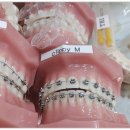 강남심미치과보철과치과의원 이미지