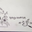 하삼동 이미지