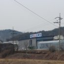 제천흑염소.도축