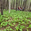 약천농장 이미지