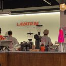 라바트리(LAVATREE) 이미지