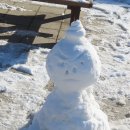 참새의 정원 이미지