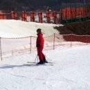 백두산황소곱창 이미지