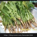 무부농장 이미지