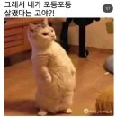 낙주