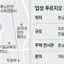 호수공원 조선일보