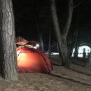 대천해수욕장 야영장 이미지