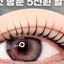 유어라인