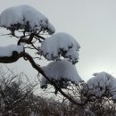 온누리019
