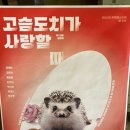 브라이트 독 이미지