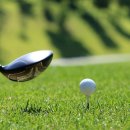 퐁당스크린골프 이미지