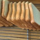 트리플펜션&글램핑 | 양양숙소 무료 조식 트리플펜션&amp;글램핑 후기