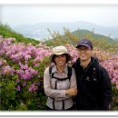 잉꼬다방 이미지