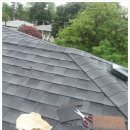 비오는 날, 지붕 위에서 놀다 이미지