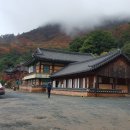 (구)보건소사거리2(하나은행앞) 이미지