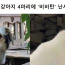대원펜션 이미지