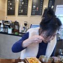 에이치커뮤니티 이미지