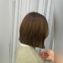 공작미용실 이미지