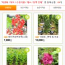 예일조경 이미지