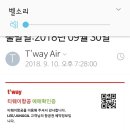 30일 대구출 11일 오키나와 귀국 신고합니다 이미지