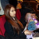 더스타즈